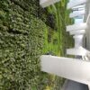 Santander boasts the largest indoor vertical garden in Europe.