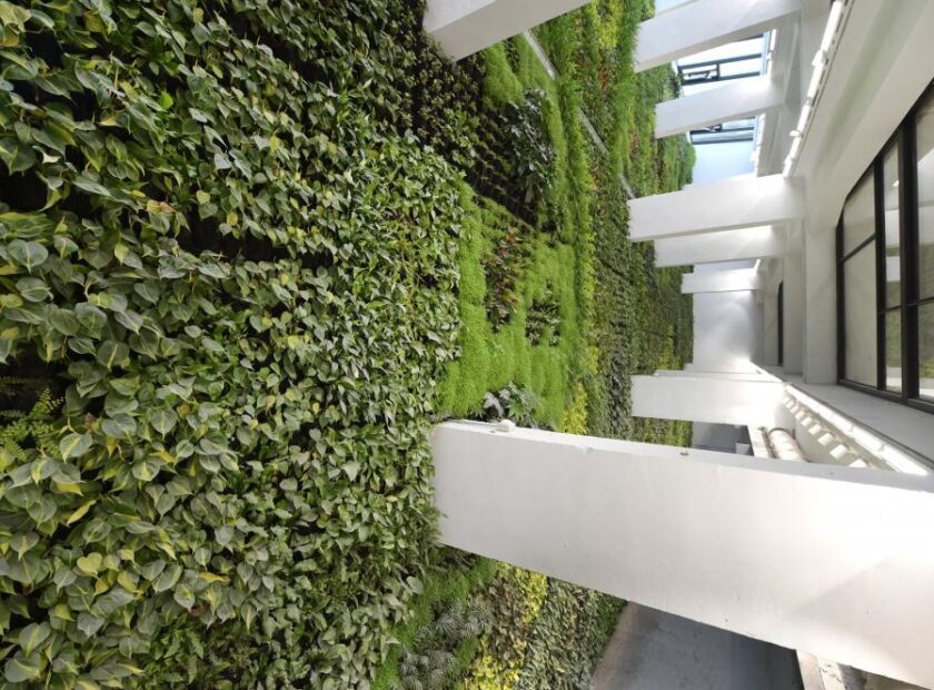 thumb_1024x663_santander-vertical-garden