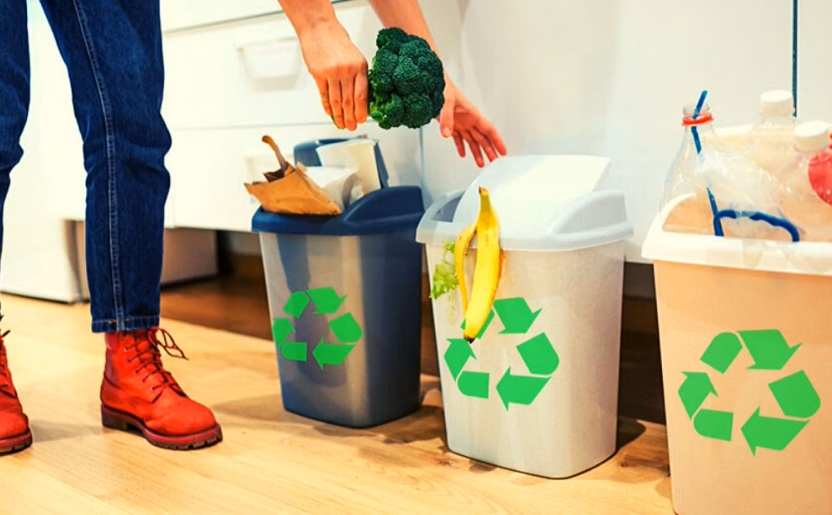 how-to-segregate-waste-