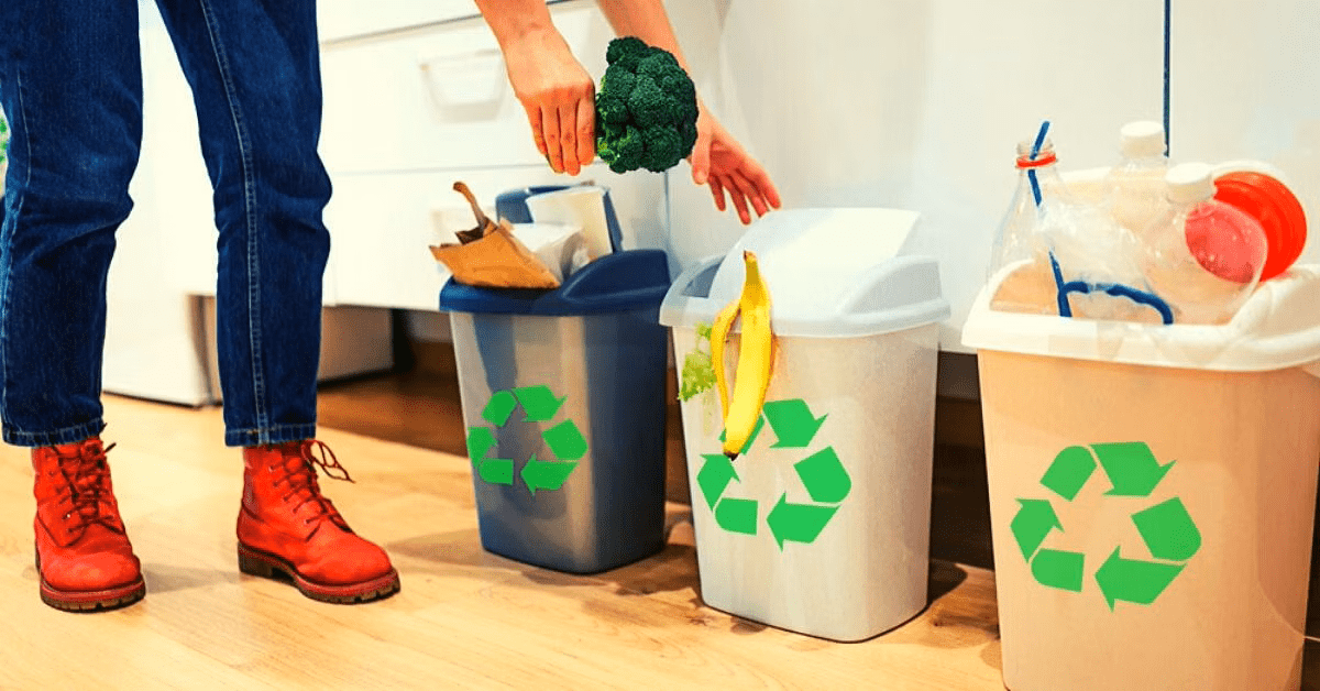how-to-segregate-waste-